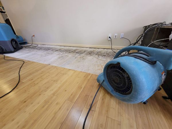 Cost of Water Damage Mitigation in Cherry Hill
