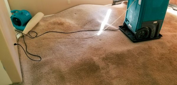 Cost of Flood Damage Cleanup in Cherry Hill