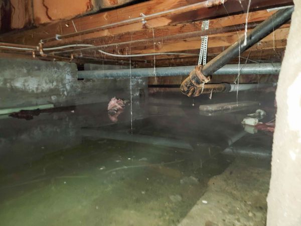 Cost of Water Mitigation Service in Cherry Hill